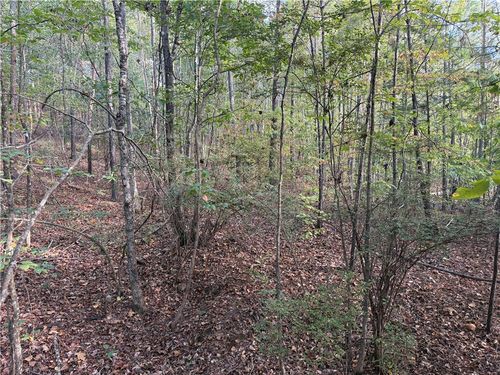 0 County Road 118, Rockford, AL, 35136 | Card Image