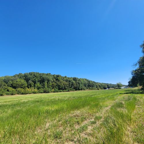 229 Bob Walker Rd, Bumpus Mills, TN, 37028-6017 | Card Image
