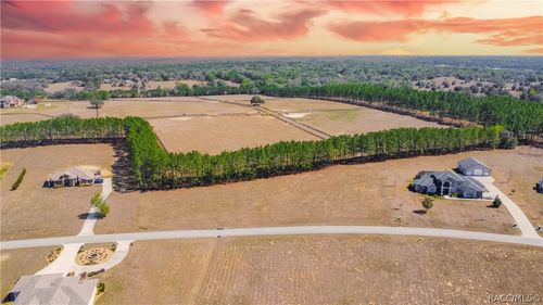 374 N Lake Shenandoah Loop, INVERNESS, FL, 34453-9006 | Card Image