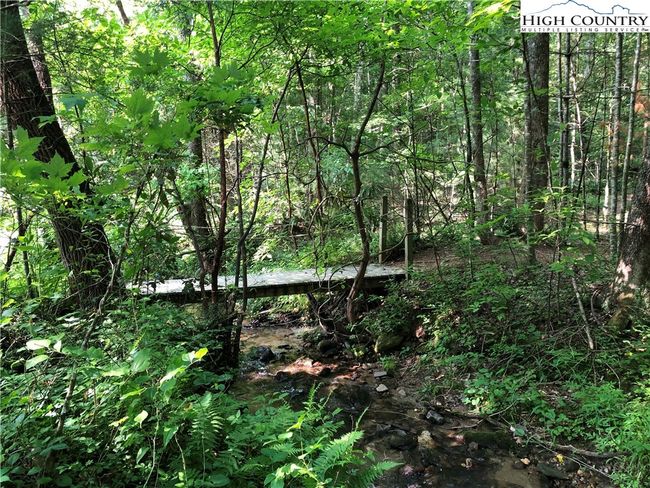 One of the scenic hiking trails within the Buck Mountain Community | Image 34