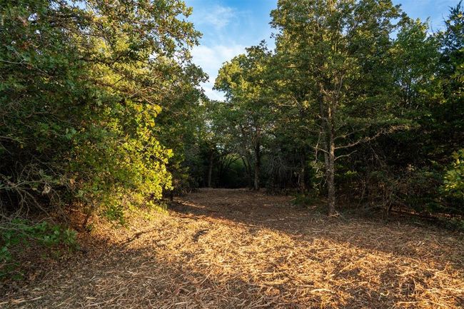 View of landscape featuring a wooded view | Image 9