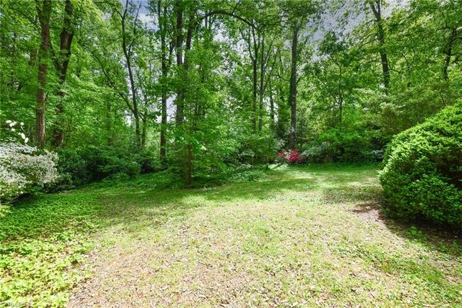 Large and serene backyard | Image 30