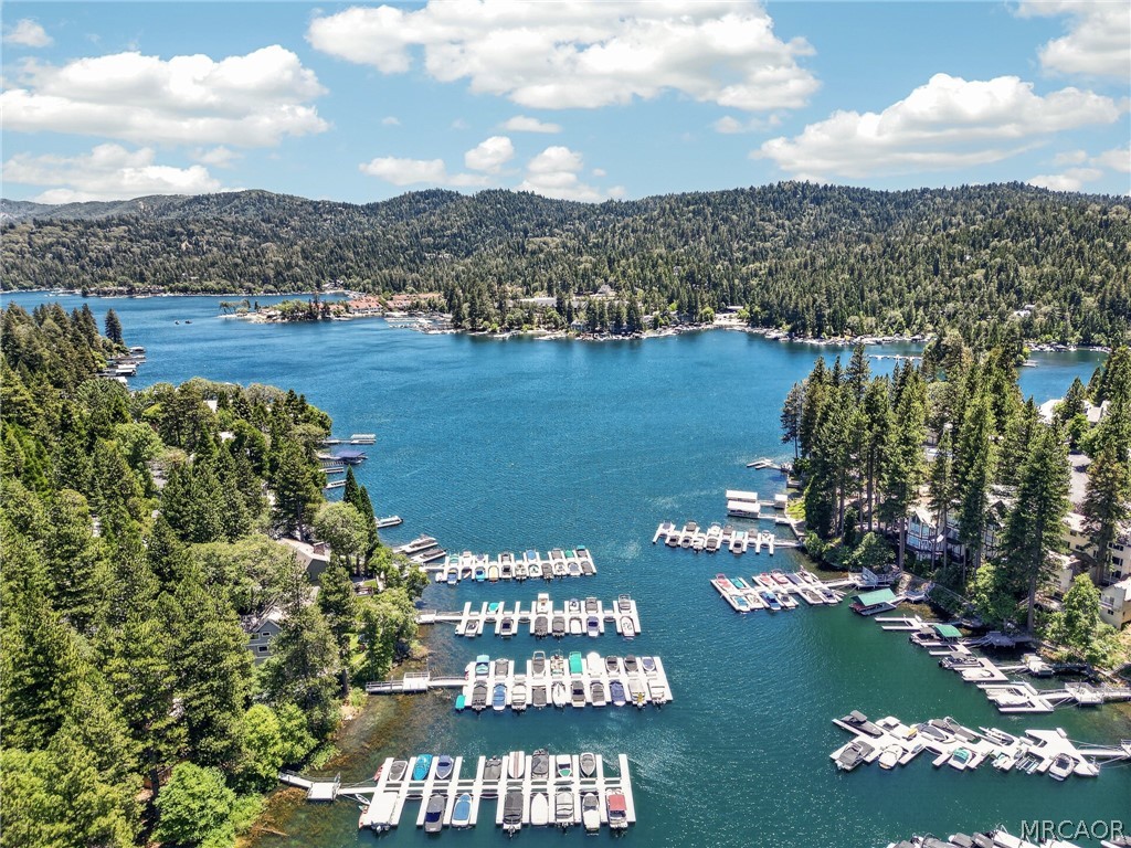 Residential in Lake Arrowhead 5