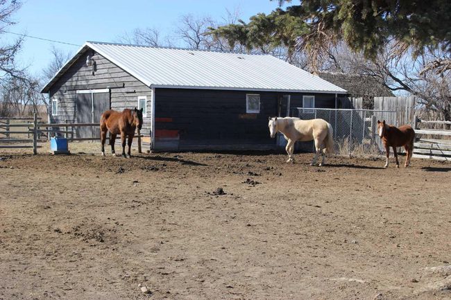 121061 Rr 22 2, House other with 8 bedrooms, 3 bathrooms and null parking in Picture Butte AB | Image 32