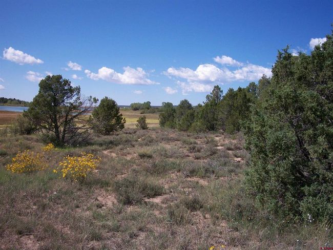 13989 Road 35.6, Home with 0 bedrooms, 0 bathrooms and null parking in Mancos CO | Image 16