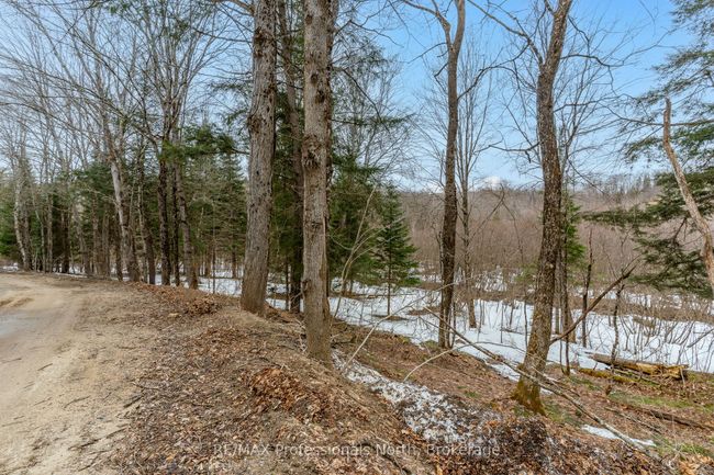 0 Ransley Rd, Home with 0 bedrooms, 0 bathrooms and null parking in Minden ON | Image 27