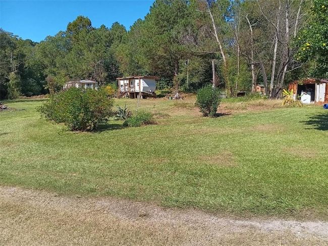 View of yard featuring a forest view | Image 7