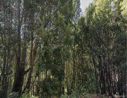 1659 Toth Rd, Whitethorn, CA, 95589-9031 | Card Image