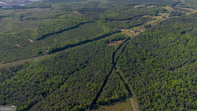 949 Marion Ripley Rd, Home with 0 bedrooms, 0 bathrooms and null parking in Dry Branch GA | Image 10