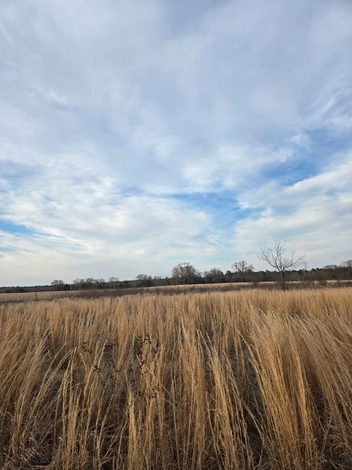 TBD Cr 4836 0.50, Winnsboro, TX, 75494 | Card Image