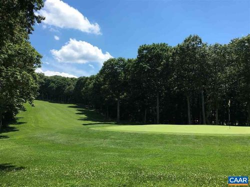 chestnut-springs-lot-1025 Blue Ridge Dr, WINTERGREEN RESORT, VA, 22967 | Card Image