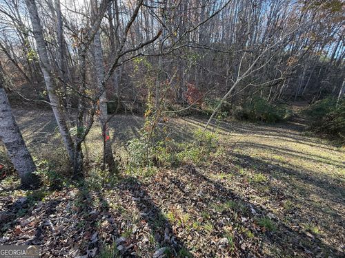 0 Duncan Bridge Rd, Cleveland, GA, 30528 | Card Image
