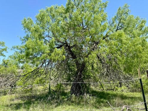 3-TBD Acorn Road, Lockhart, TX, 78644 | Card Image