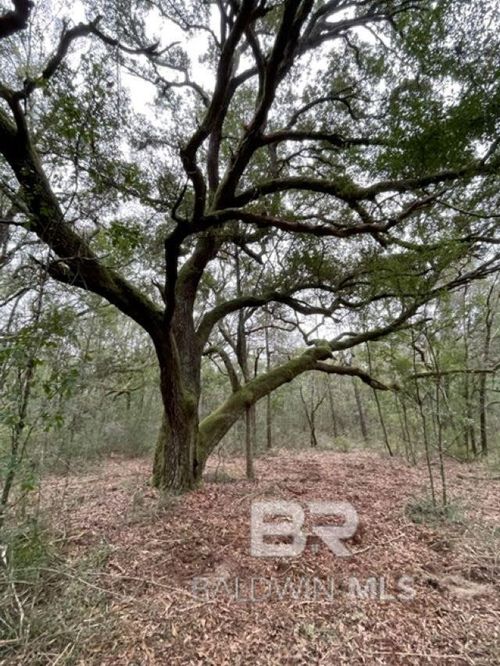 9847 County Road 99, Lillian, AL, 36549 | Card Image