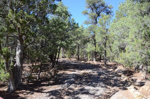 109 Via Sedillo Road, Tijeras, NM, 87059 | Card Image