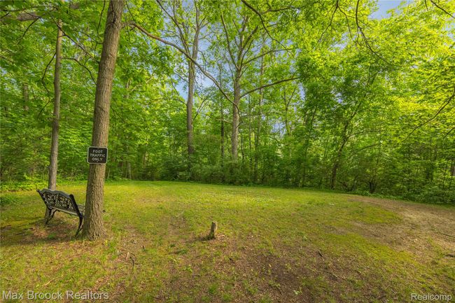 088- 1982 E Coon Lake - OnDemandPixPhotography.jpg | Image 42