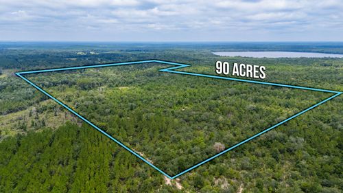 90 Acres Union Hill Road, Vernon, FL, 32462 | Card Image