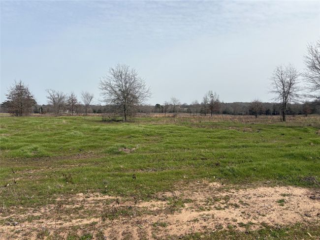 TRACT-2 - TBD County Road 2425, Home with 0 bedrooms, 0 bathrooms and null parking in Como TX | Image 16