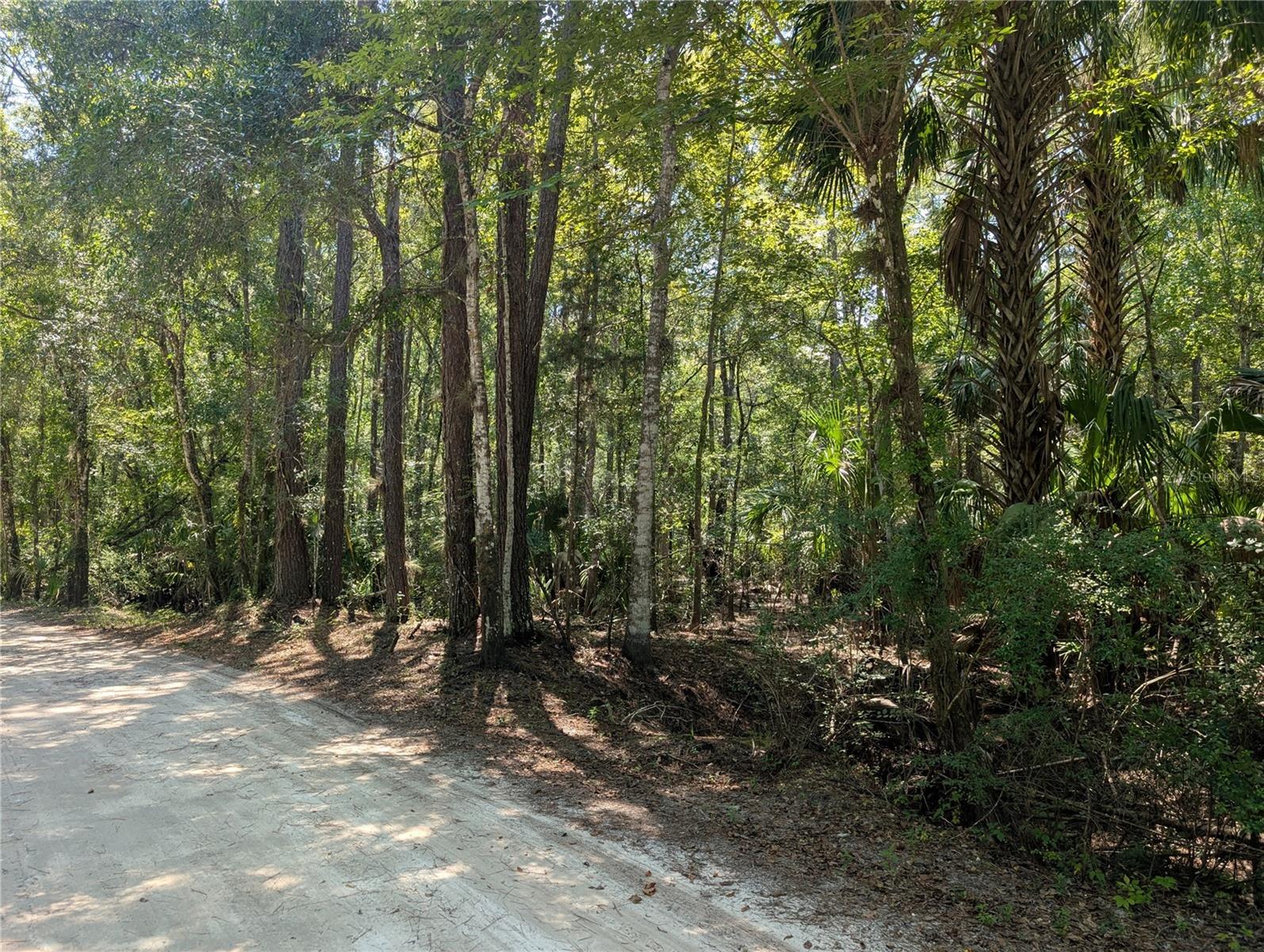 Land in HERNANDO