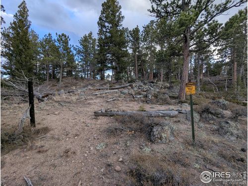 29 Santa Clara Ct, Red Feather Lakes, CO, 80545-8962 | Card Image