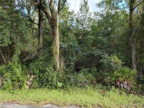 6869 Van Buren Dr, Homosassa, FL, 34448-3155 | Card Image
