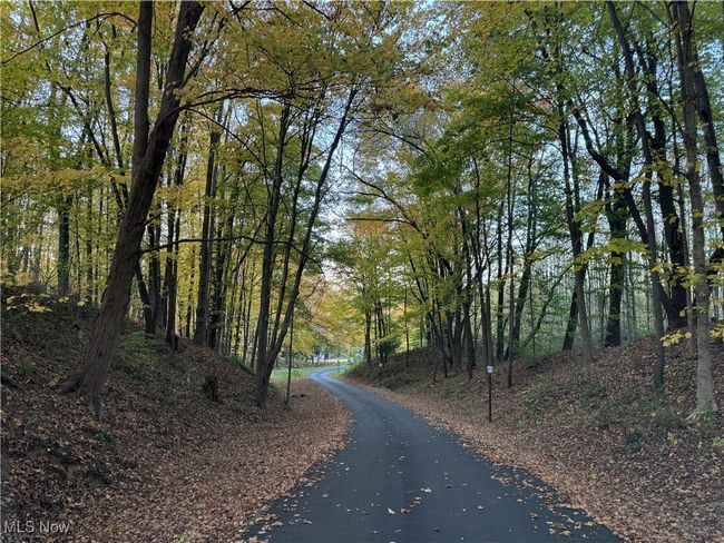 View of 800' driveway | Image 6