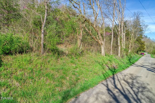 000 Sensabaugh Hollow Rd, Home with 0 bedrooms, 0 bathrooms and null parking in Church Hill TN | Image 7