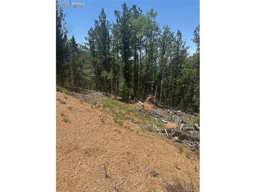 110 Brown Bear Ln, Cripple Creek, CO, 80813 | Card Image