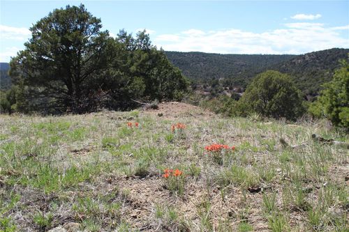 TBD Picketwire Rd, Trinidad, CO, 81082 | Card Image