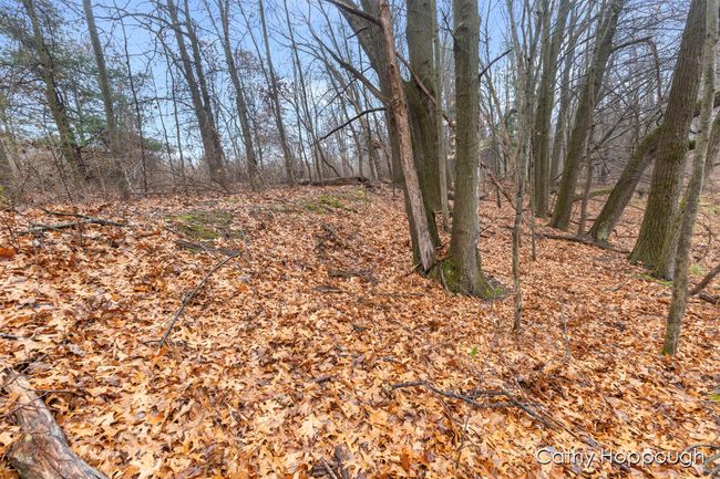 PARCEL-1 - V/L W Snows Lake Road, Home with 0 bedrooms, 0 bathrooms and null parking in Fenwick MI | Image 10