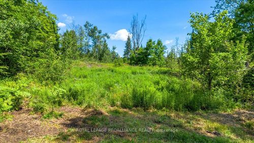 168 Limerick Lake Rd, Gilmour, ON, K0L1W0 | Card Image