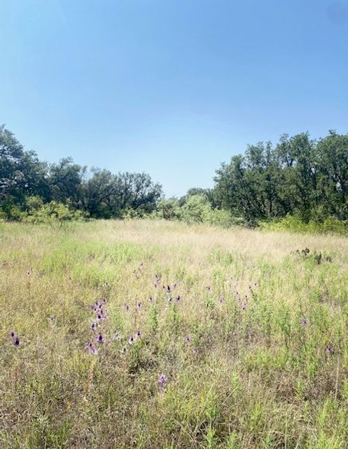 6955 Ennis Dr, Brownwood, TX, 76801 | Card Image