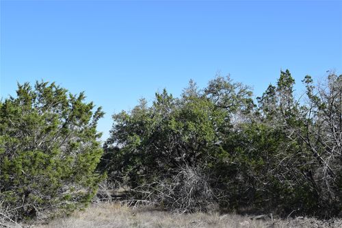 TBD Cheyenne Trl, Wimberley, TX, 78676 | Card Image