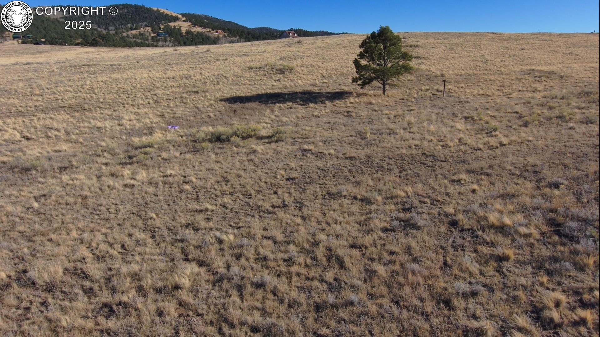 Land in Westcliffe 5