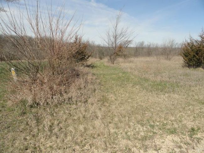 10.45 Acres Ringhand Rd, Home with 0 bedrooms, 0 bathrooms and null parking in SYLVESTER WI | Image 15