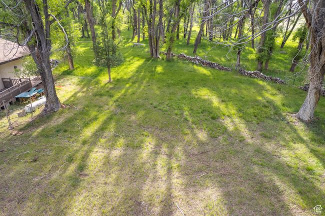 View of yard | Image 32