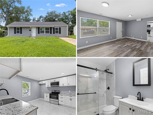 9825 Dennis Dr, Saint Louis, MO, 63136-1903 | Card Image