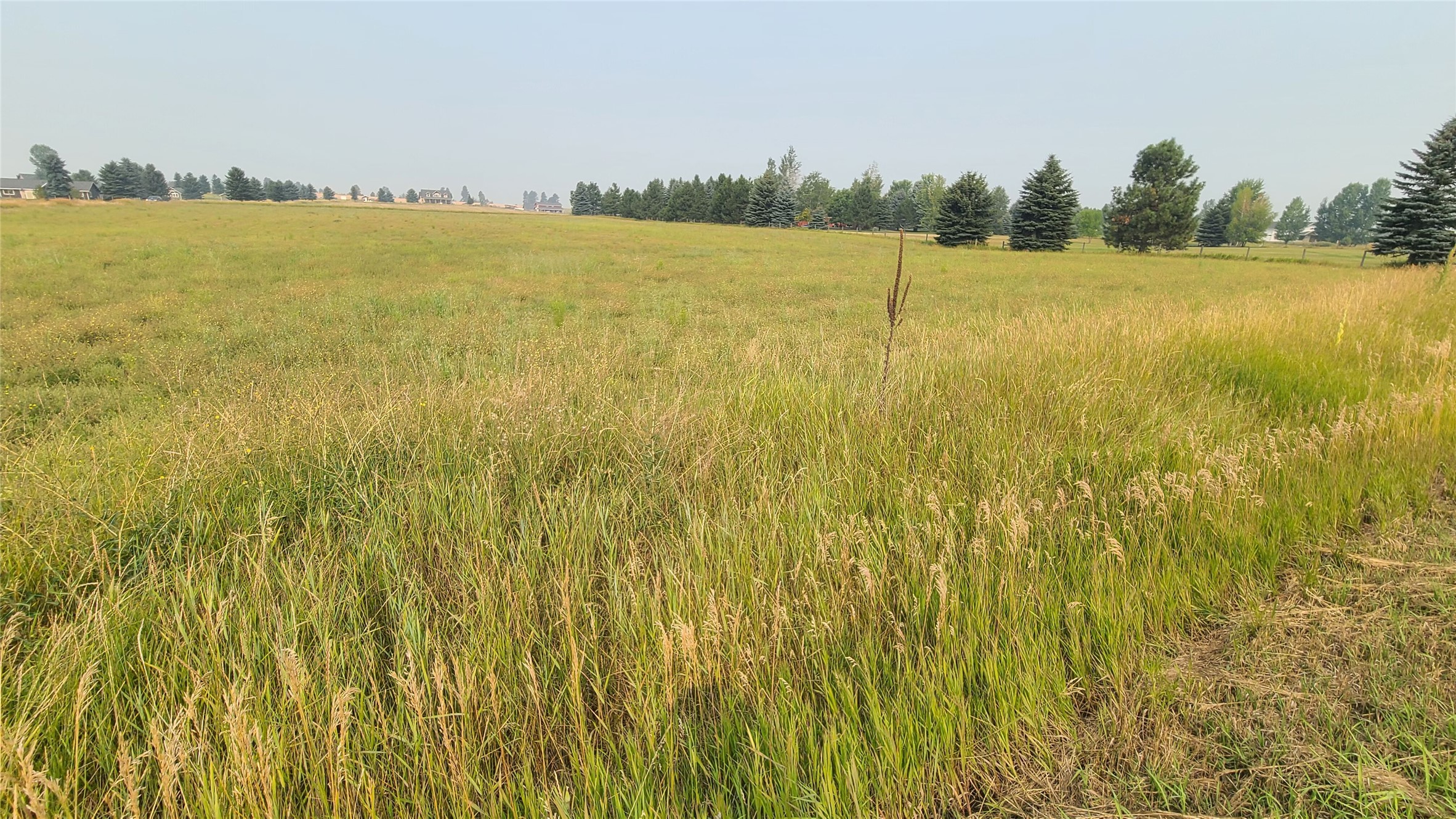 Land in Columbia Falls 3