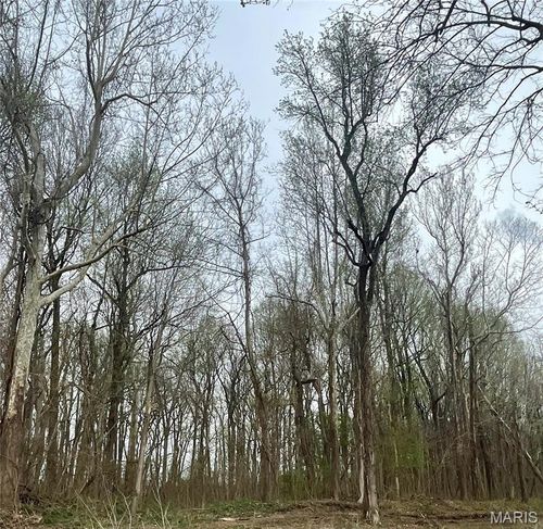 0 County Road 351, Scott City, MO, 63780 | Card Image