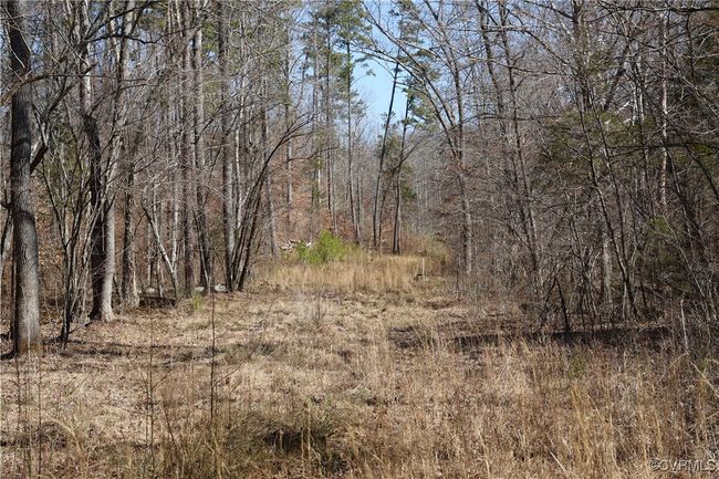 0 Golf Course Rd, Home with 0 bedrooms, 0 bathrooms and null parking in Halifax VA | Image 19