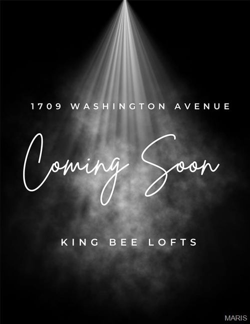 301-1709 Washington Ave, Saint Louis, MO, 63103-1729 | Card Image