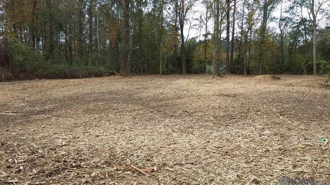 Parcel 2-A Hano Rd, Home with 0 bedrooms, 0 bathrooms and null parking in Independence LA | Image 4
