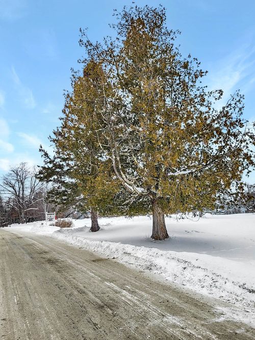 000 Mountain View Rd, Whitefield, NH, 03598 | Card Image