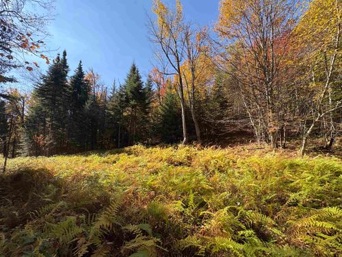 000 Baird Rd, West Burke, VT, 05871 | Card Image