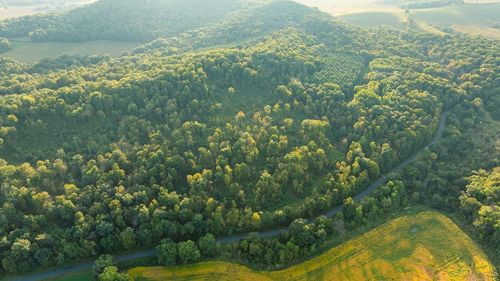 0 Semple Rd, ARKANSAW, WI, 54721 | Card Image