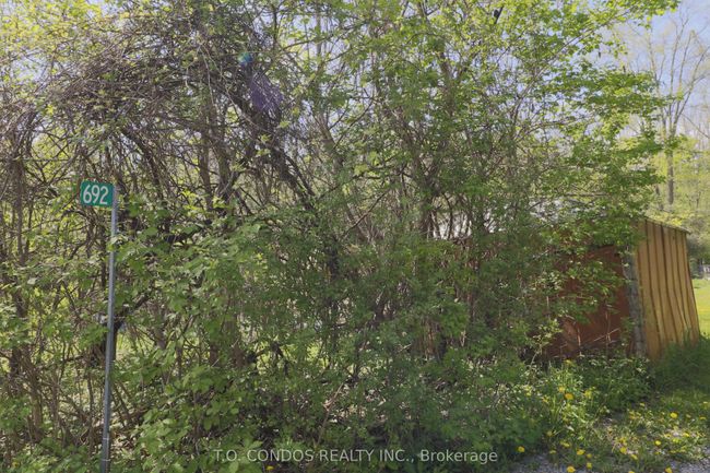 692 N Shore Dr E, Home with 0 bedrooms, 0 bathrooms and null parking in Bailieboro ON | Image 5