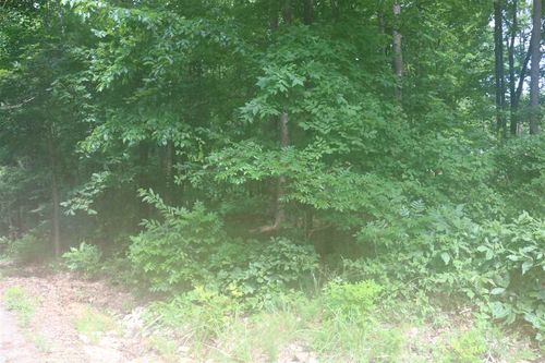 YMCA S Muscatel &Amp; Ymca Ln, Counce, TN, 38326 | Card Image