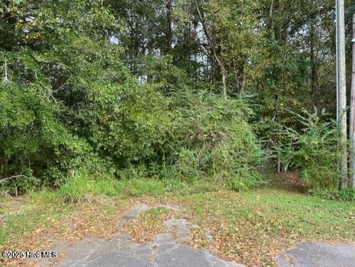 0 Near 715 E 1st Avenue, Chadbourn, NC, 28431 | Card Image