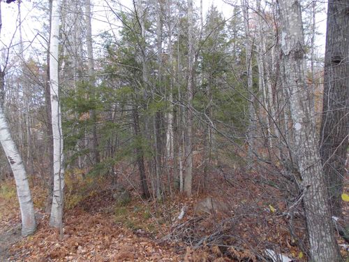 Lot 49 Mittenwald Strasse, Bartlett, NH, 03812 | Card Image