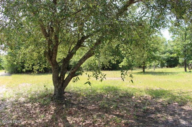 5929 Nichols Rd, House other with 3 bedrooms, 2 bathrooms and null parking in Bascom FL | Image 29